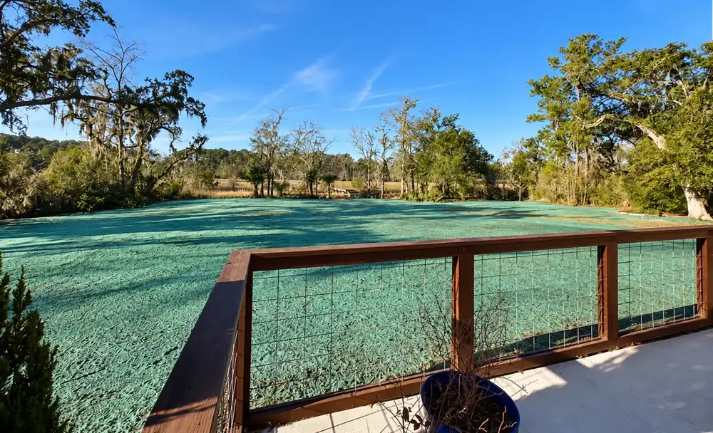 Same back lot after: graded and hydroseeded, seen from the deck
