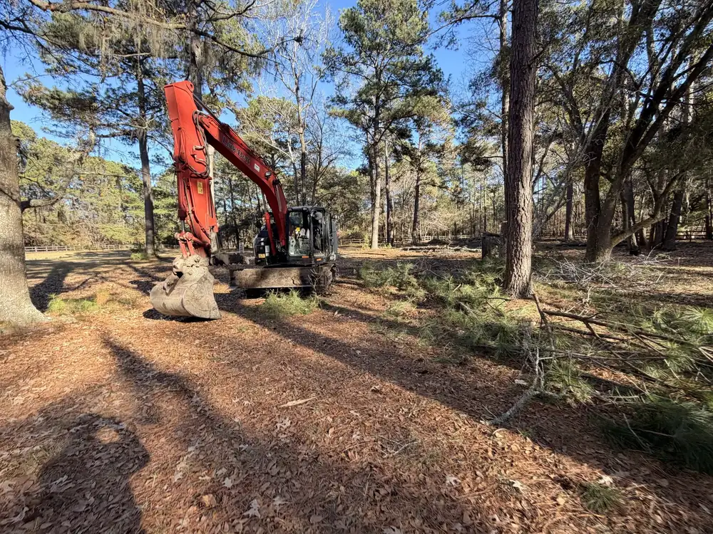Red excavator taking down trees on a pine lot